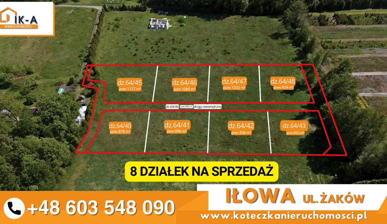 Iłowa Żaków 2