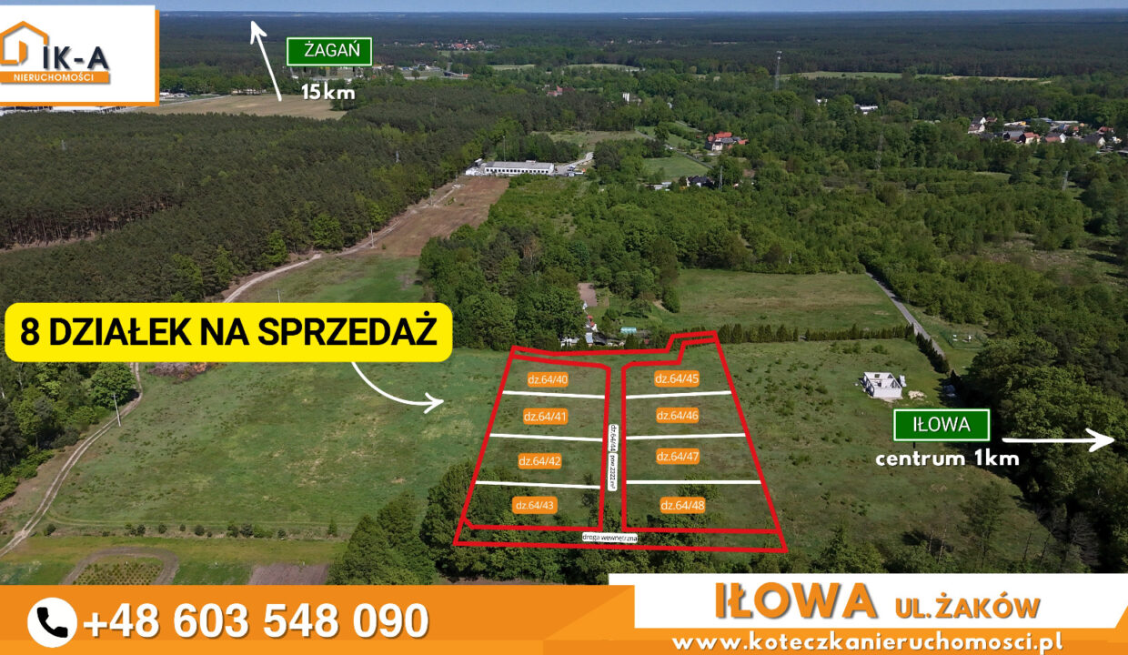 Iłowa Żaków 3