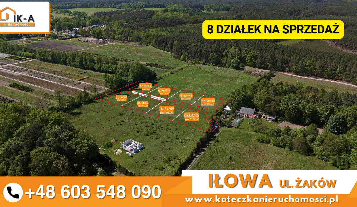 Iłowa Żaków 4