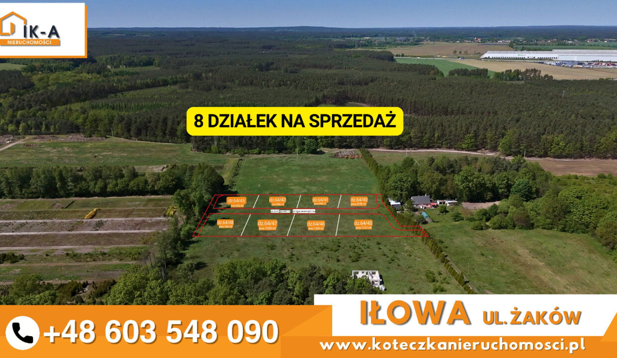 Iłowa Żaków 5