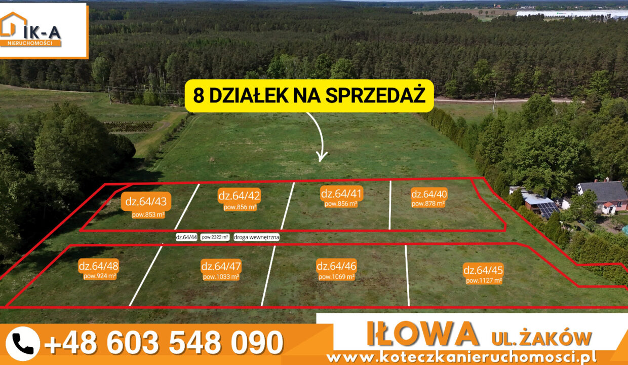 Iłowa Żaków 6