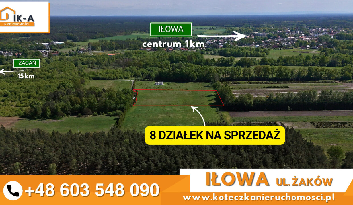 Iłowa Żaków 7